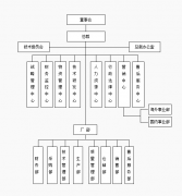 组织结构